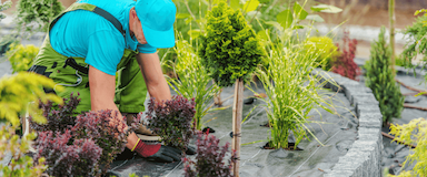 Popular Hobbie Image